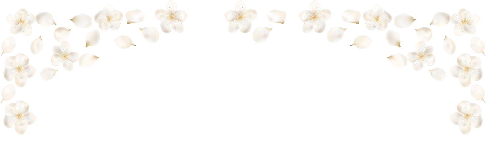 https://almyandzach.com/wp-content/uploads/2022/09/floating_image_13-2-2.png