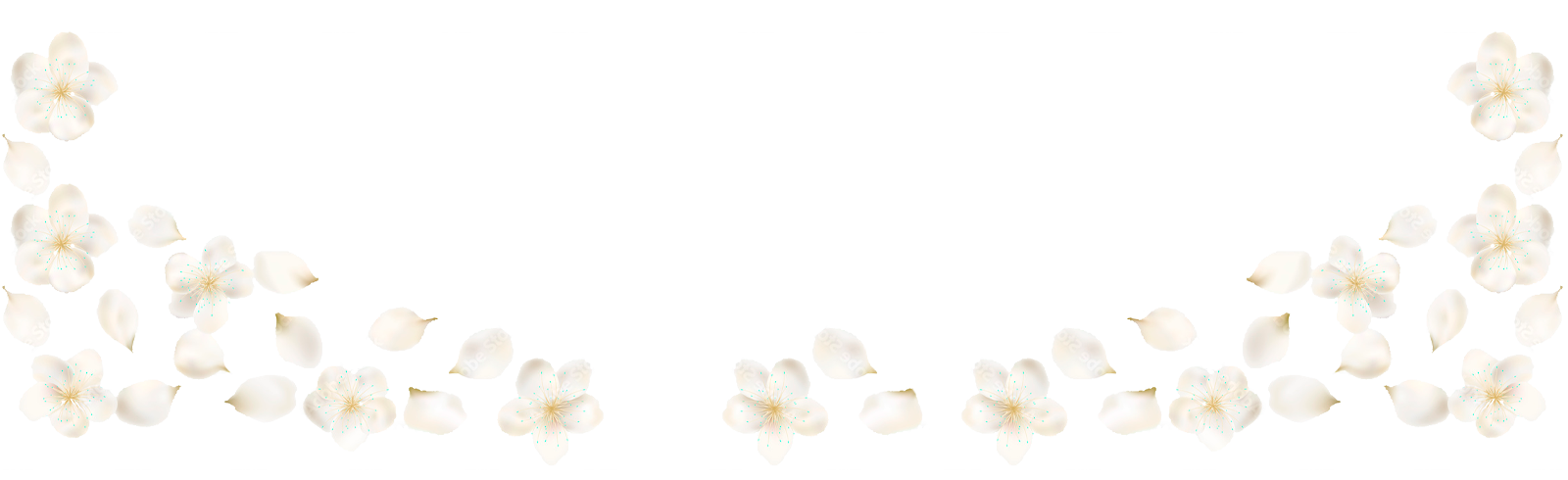https://almyandzach.com/wp-content/uploads/2022/09/floating_image_13-2.png
