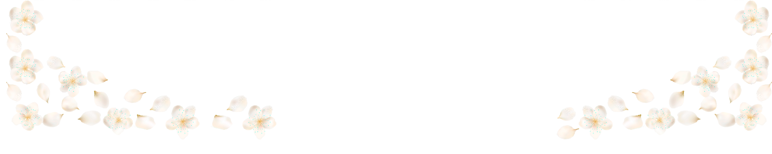 https://almyandzach.com/wp-content/uploads/2022/11/bottom.png