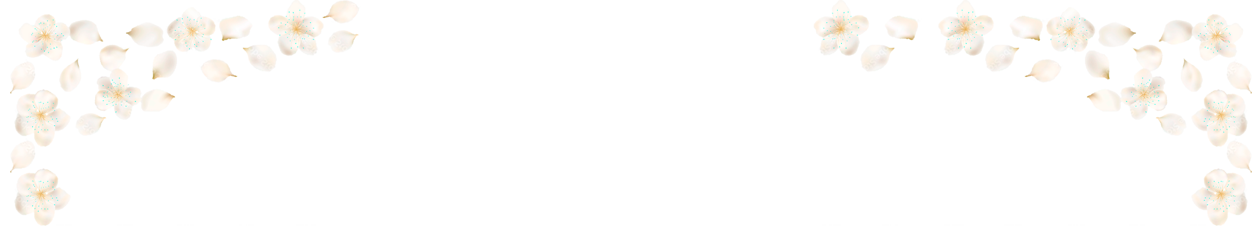 https://almyandzach.com/wp-content/uploads/2022/11/top.png